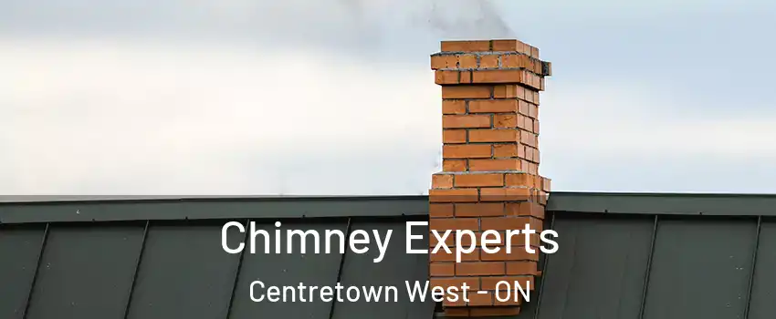 Chimney Experts Centretown West - ON