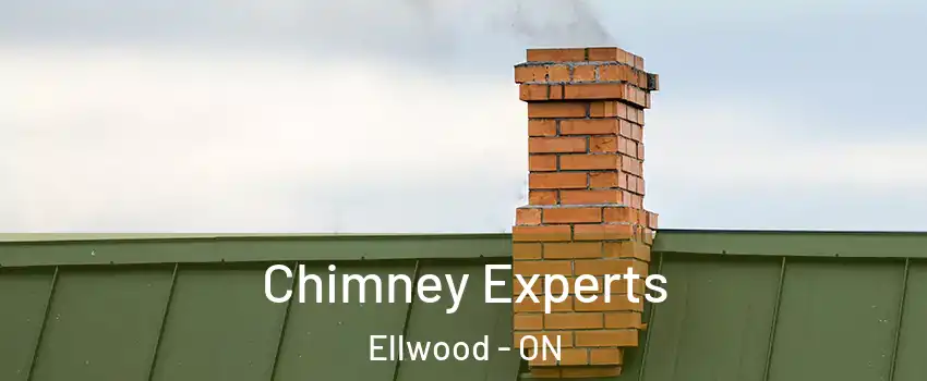 Chimney Experts Ellwood - ON