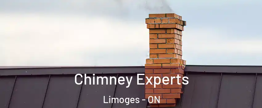 Chimney Experts Limoges - ON