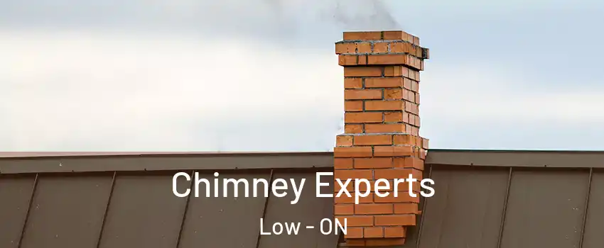 Chimney Experts Low - ON
