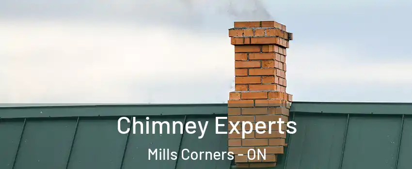 Chimney Experts Mills Corners - ON
