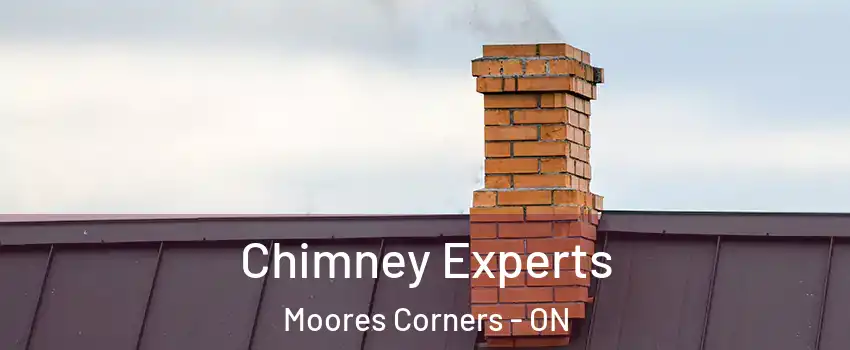 Chimney Experts Moores Corners - ON