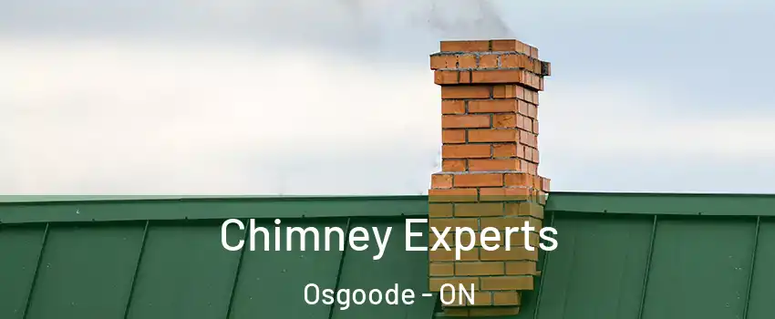 Chimney Experts Osgoode - ON