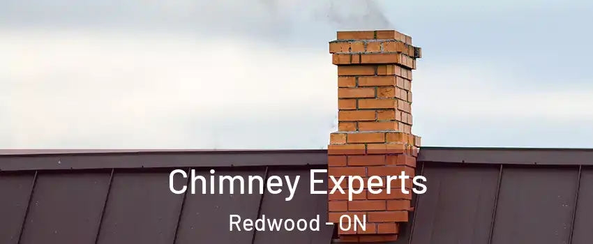 Chimney Experts Redwood - ON