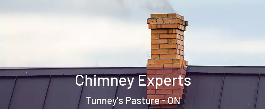 Chimney Experts Tunney's Pasture - ON