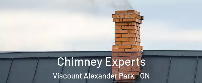 Chimney Experts Viscount Alexander Park - ON