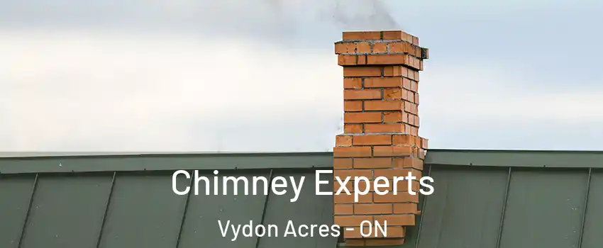 Chimney Experts Vydon Acres - ON