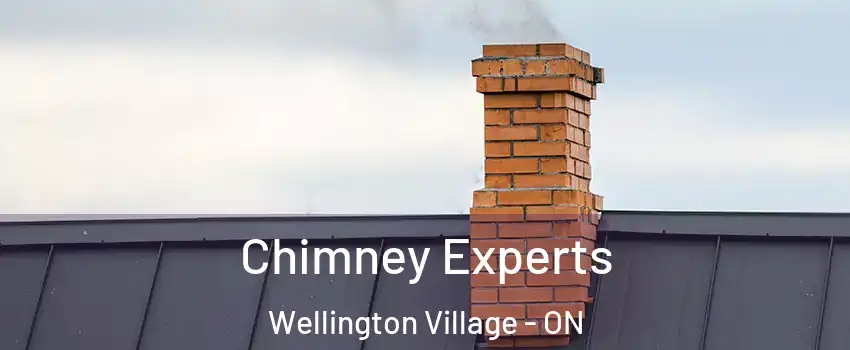 Chimney Experts Wellington Village - ON