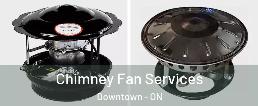  Chimney Fan Services Downtown - ON