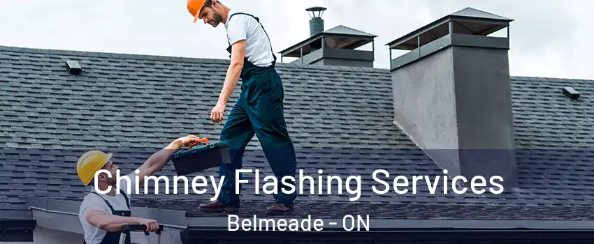 Chimney Flashing Services Belmeade - ON
