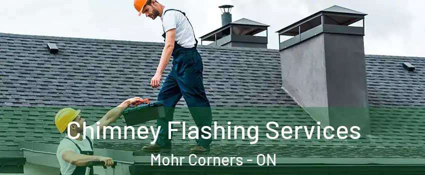 Chimney Flashing Services Mohr Corners - ON