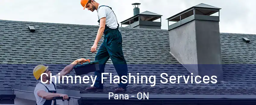 Chimney Flashing Services Pana - ON