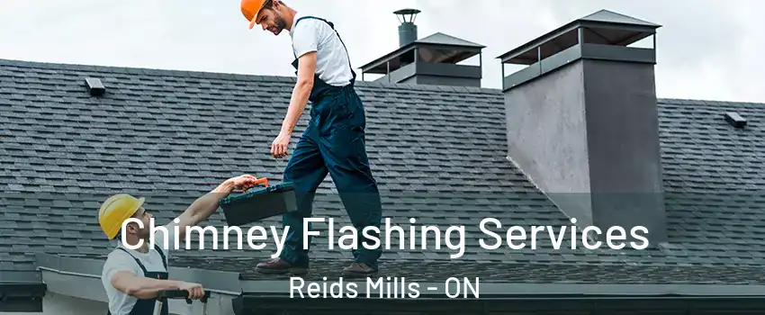 Chimney Flashing Services Reids Mills - ON