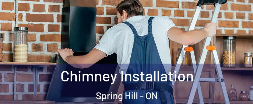  Chimney Installation Spring Hill - ON