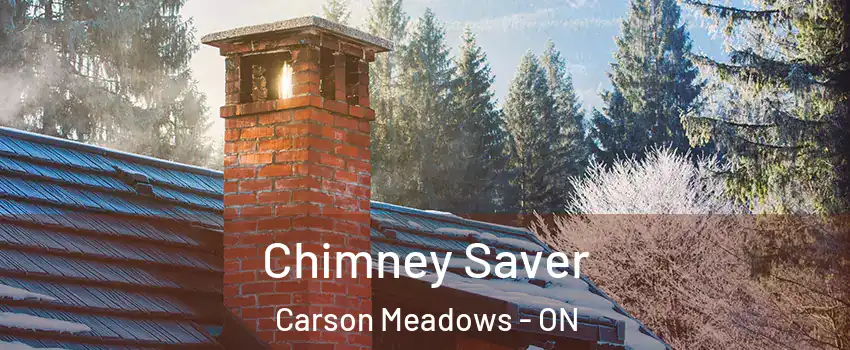  Chimney Saver Carson Meadows - ON