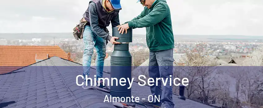  Chimney Service Almonte - ON