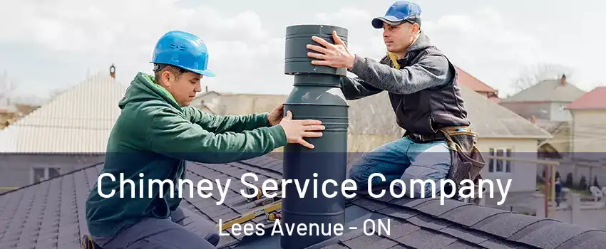  Chimney Service Company Lees Avenue - ON