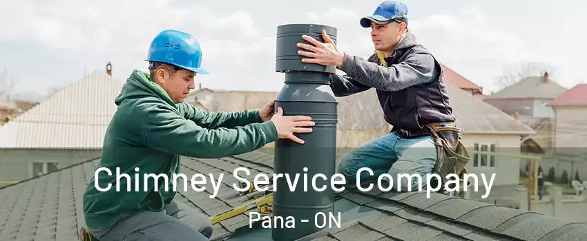  Chimney Service Company Pana - ON