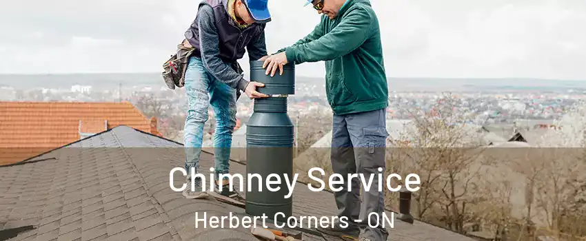  Chimney Service Herbert Corners - ON