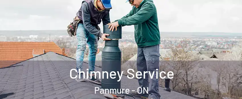 Chimney Service Panmure - ON