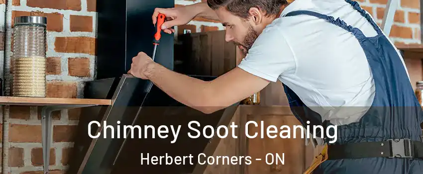  Chimney Soot Cleaning Herbert Corners - ON