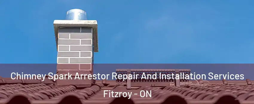  Chimney Spark Arrestor Repair And Installation Services Fitzroy - ON