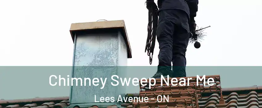  Chimney Sweep Near Me Lees Avenue - ON