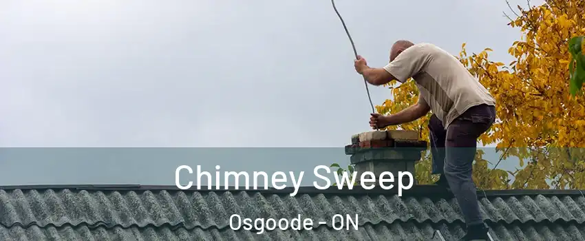  Chimney Sweep Osgoode - ON