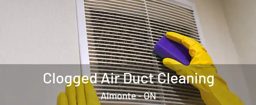 Clogged Air Duct Cleaning Almonte - ON