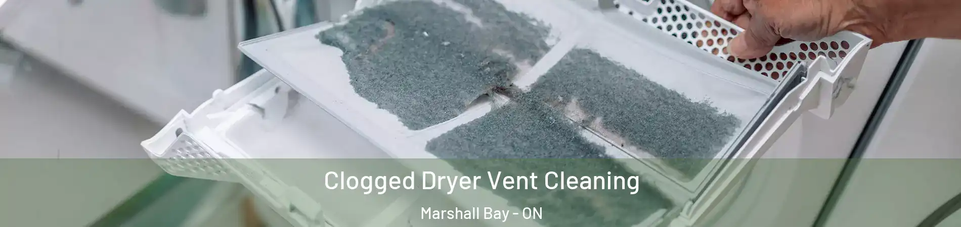  Clogged Dryer Vent Cleaning Marshall Bay - ON