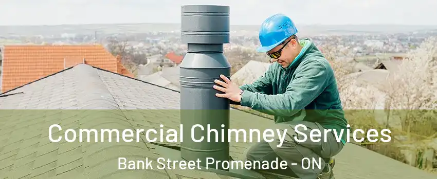  Commercial Chimney Services Bank Street Promenade - ON