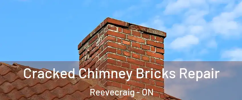  Cracked Chimney Bricks Repair Reevecraig - ON