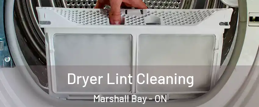  Dryer Lint Cleaning Marshall Bay - ON