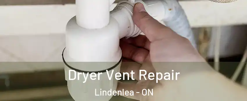  Dryer Vent Repair Lindenlea - ON