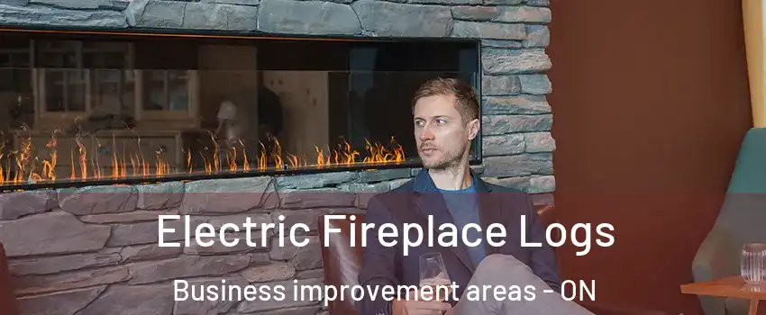 Electric Fireplace Logs Business improvement areas - ON