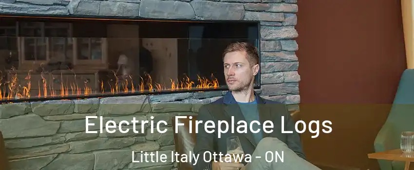 Electric Fireplace Logs Little Italy Ottawa - ON