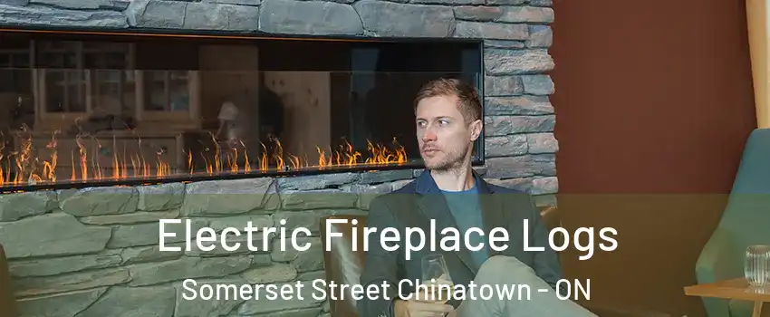 Electric Fireplace Logs Somerset Street Chinatown - ON