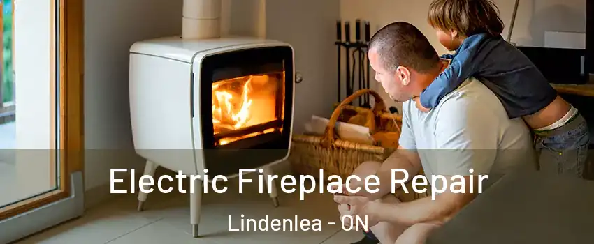  Electric Fireplace Repair Lindenlea - ON