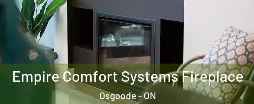 Empire Comfort Systems Fireplace Osgoode - ON