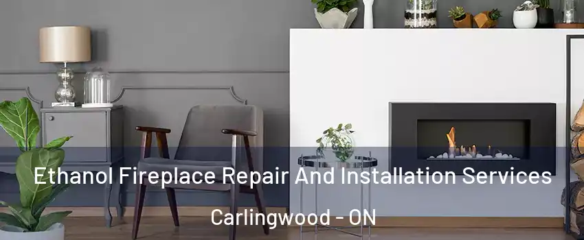  Ethanol Fireplace Repair And Installation Services Carlingwood - ON