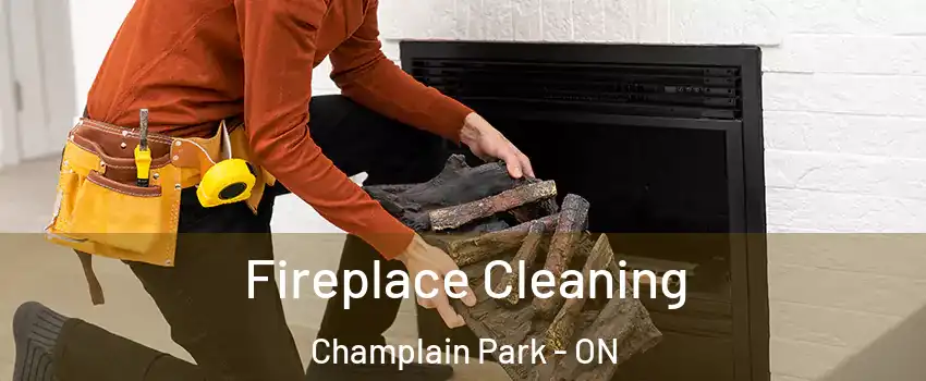  Fireplace Cleaning Champlain Park - ON