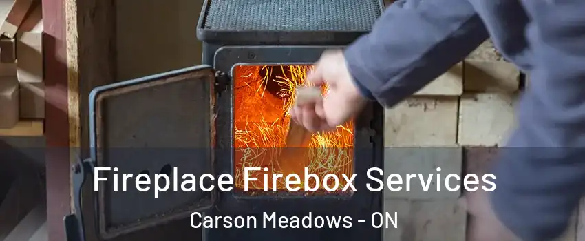  Fireplace Firebox Services Carson Meadows - ON