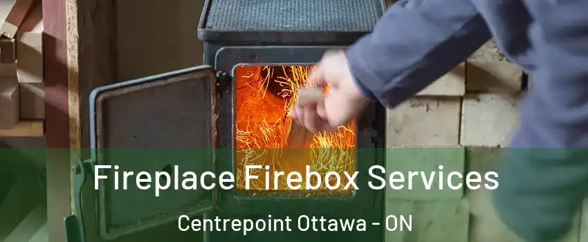 Fireplace Firebox Services Centrepoint Ottawa - ON