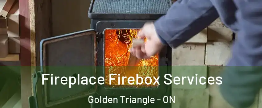  Fireplace Firebox Services Golden Triangle - ON