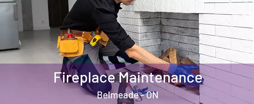  Fireplace Maintenance Belmeade - ON