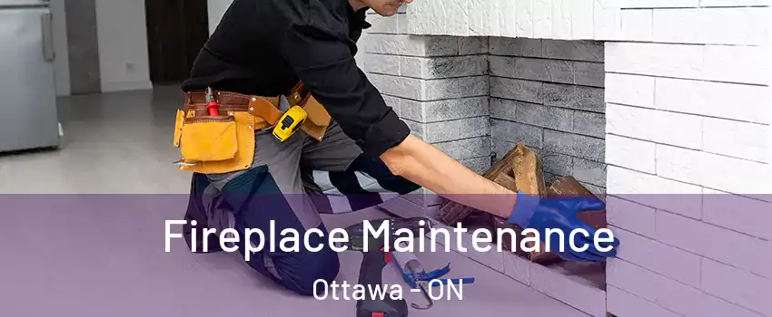  Fireplace Maintenance Ottawa - ON