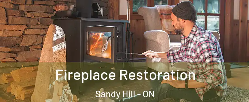  Fireplace Restoration Sandy Hill - ON