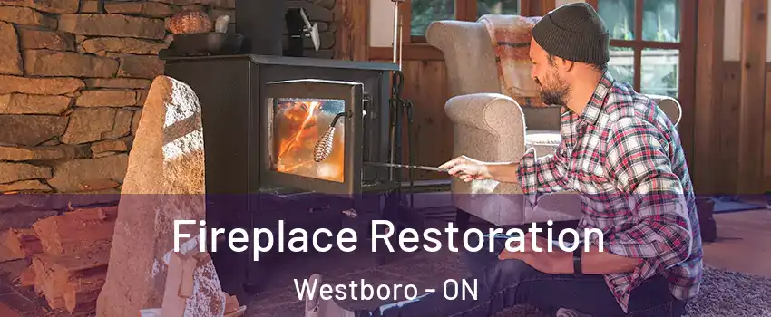  Fireplace Restoration Westboro - ON