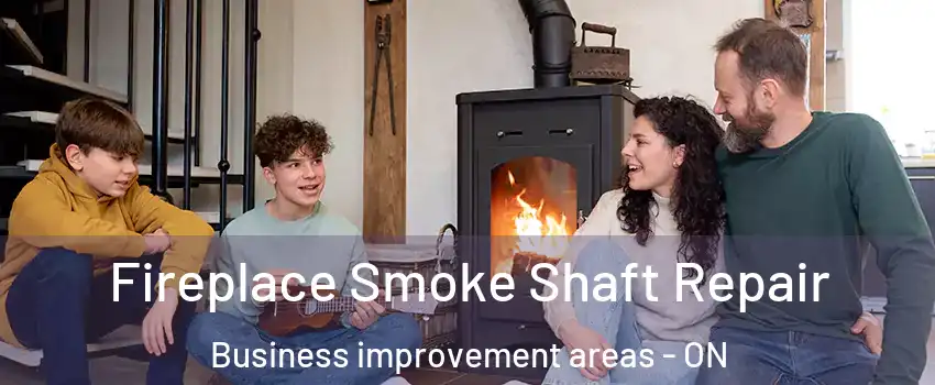  Fireplace Smoke Shaft Repair Business improvement areas - ON
