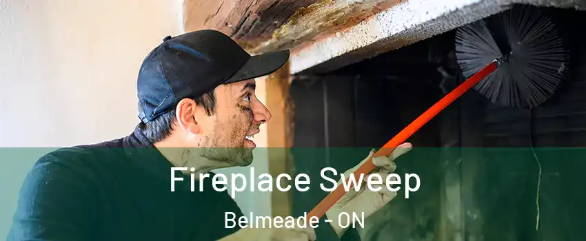  Fireplace Sweep Belmeade - ON